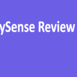 Ysense Review